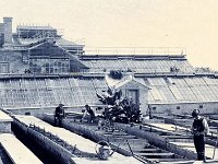 Botanički vrt, Mihanovićeva ulica, 1895. godine. Staklenici